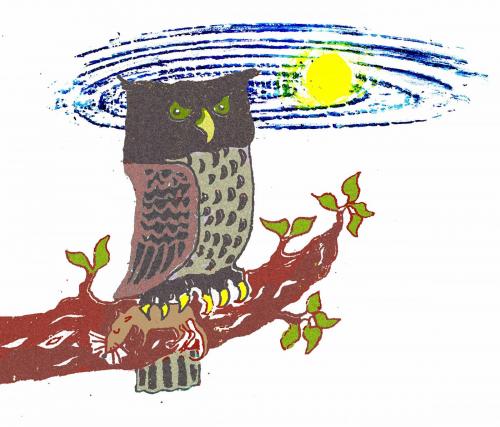 <strong> A Barred Owl. By Richard Wilbur</strong>