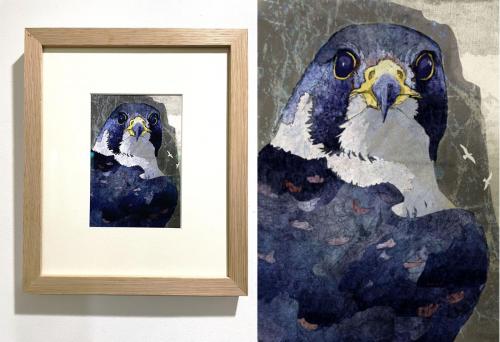 Peregrine Falcon.  Giclee  Print.  Framed  £160, 