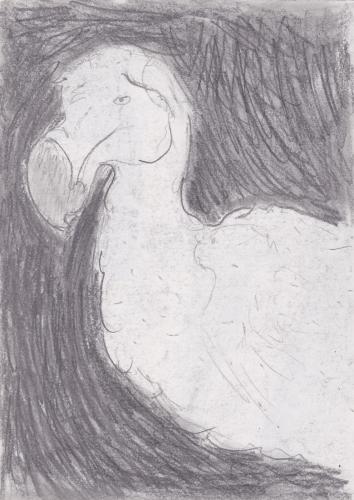 Pencil
