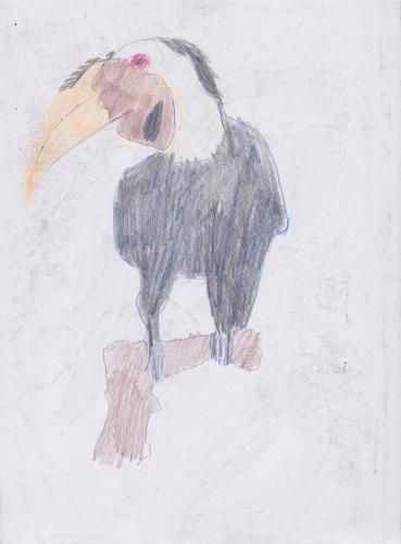Coloured pencil
