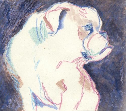 dog