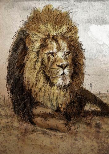 Barbary lion